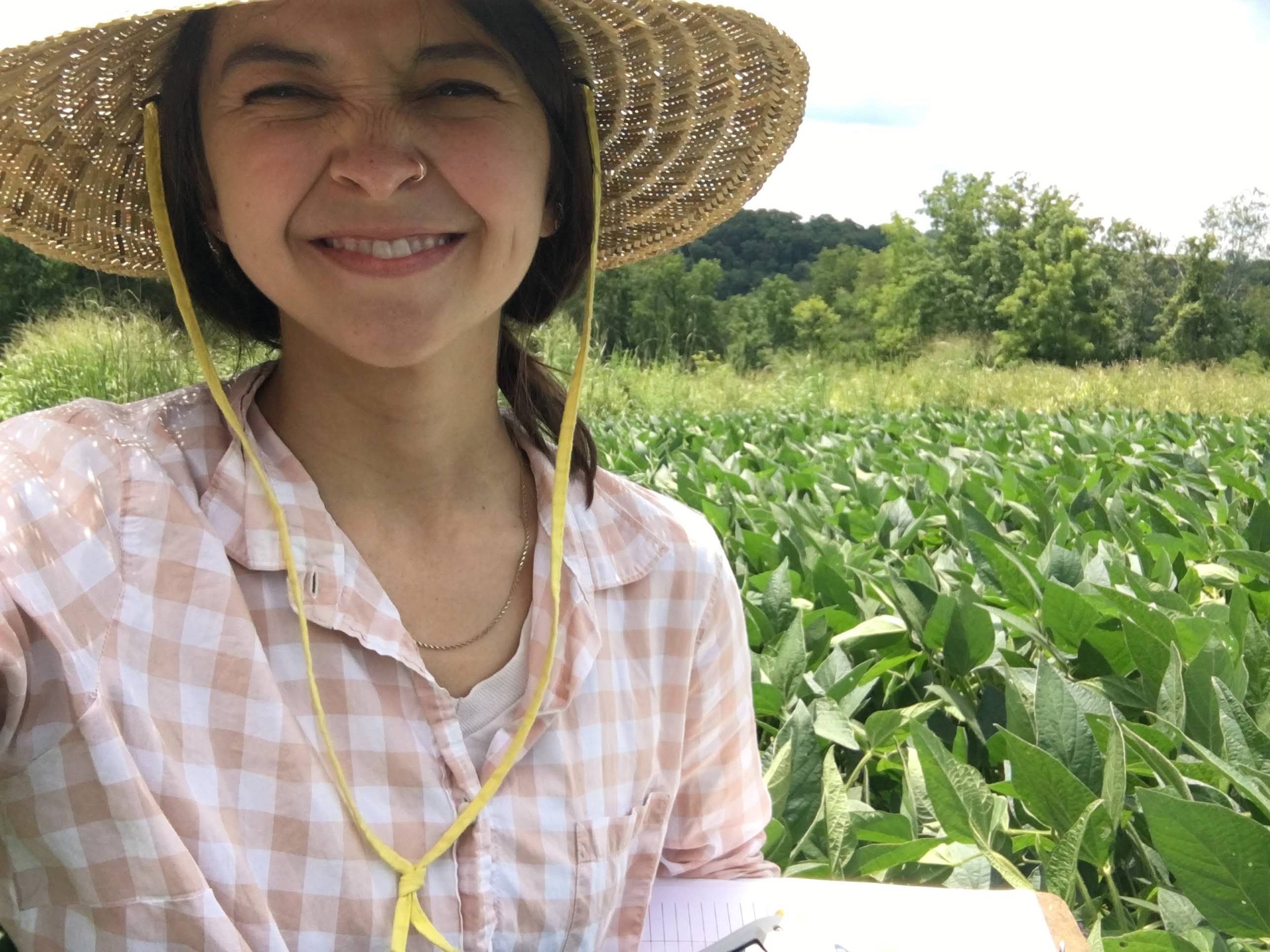 Field work on an Iowa farm